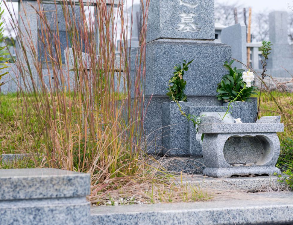 東京23区で人気の永代供養墓